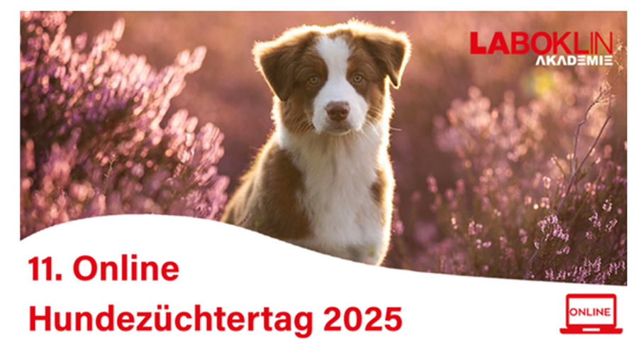 11. Online-Züchtertag Laboklin