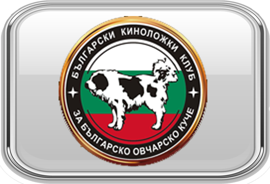 Bulgarsko Ovcharsko Kuche - Montana Club (BULGARIEN)
