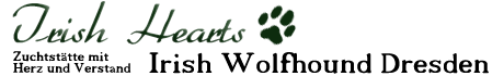 Irish Wolfhound "Irish Hearts"
