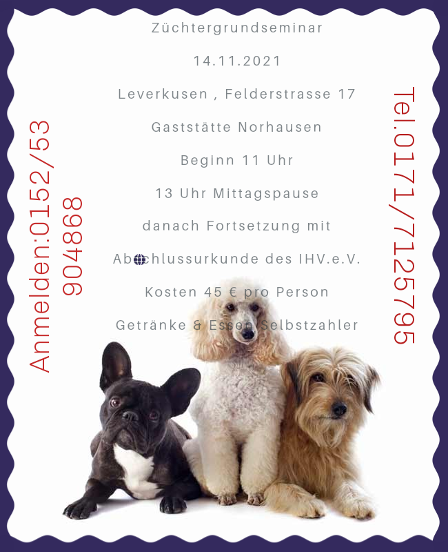 flyerdesign-18102021-143715