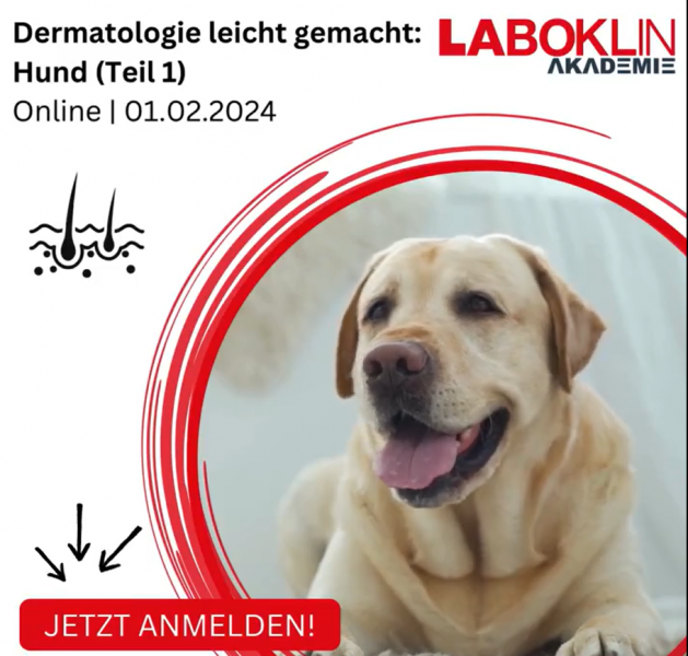 Screenshot_2024-02-05_212232