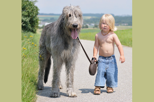 Wolfhundkind