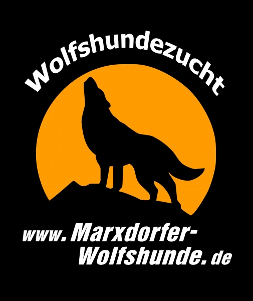 wolfshundeschule-2