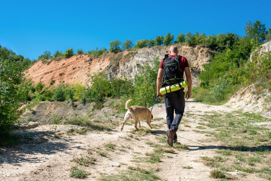 young-caucasian-male-tourist-exploring-beautiful-places-with-his-dog